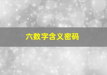 六数字含义密码