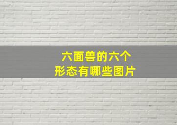 六面兽的六个形态有哪些图片