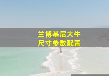 兰博基尼大牛尺寸参数配置