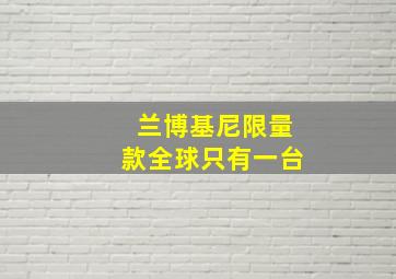 兰博基尼限量款全球只有一台