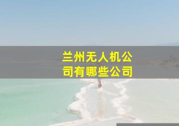 兰州无人机公司有哪些公司