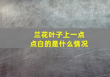 兰花叶子上一点点白的是什么情况