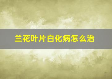 兰花叶片白化病怎么治