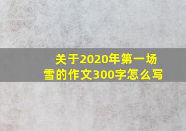 关于2020年第一场雪的作文300字怎么写