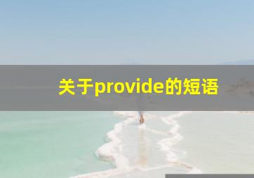 关于provide的短语