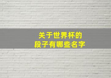 关于世界杯的段子有哪些名字