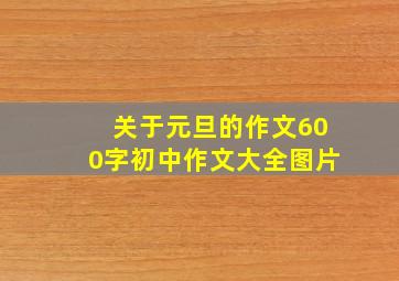 关于元旦的作文600字初中作文大全图片