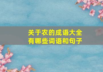 关于农的成语大全有哪些词语和句子