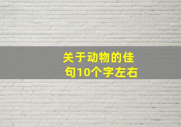 关于动物的佳句10个字左右