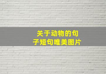 关于动物的句子短句唯美图片