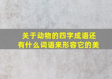 关于动物的四字成语还有什么词语来形容它的美