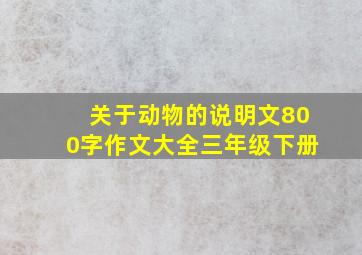 关于动物的说明文800字作文大全三年级下册