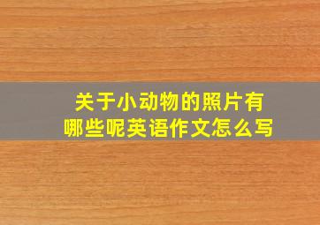 关于小动物的照片有哪些呢英语作文怎么写