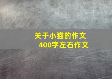 关于小猫的作文400字左右作文