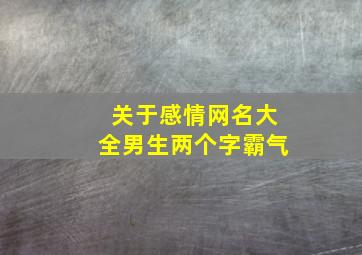 关于感情网名大全男生两个字霸气