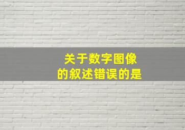 关于数字图像的叙述错误的是