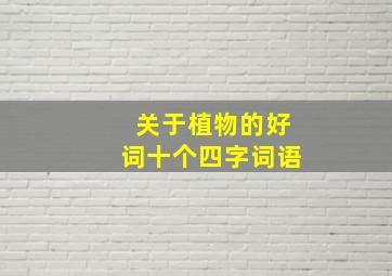 关于植物的好词十个四字词语