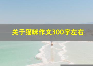 关于猫咪作文300字左右