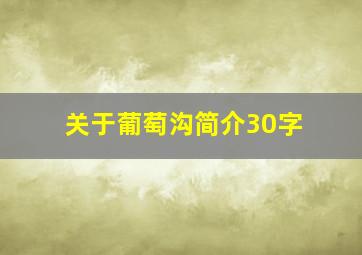 关于葡萄沟简介30字