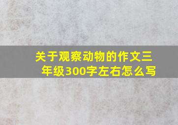 关于观察动物的作文三年级300字左右怎么写