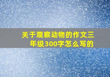 关于观察动物的作文三年级300字怎么写的