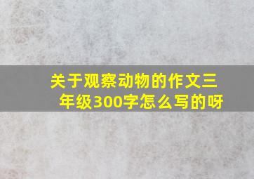 关于观察动物的作文三年级300字怎么写的呀