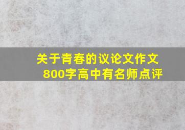 关于青春的议论文作文800字高中有名师点评