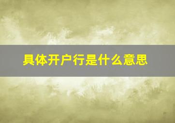 具体开户行是什么意思