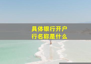 具体银行开户行名称是什么