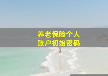 养老保险个人账户初始密码