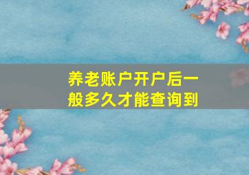 养老账户开户后一般多久才能查询到