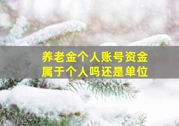 养老金个人账号资金属于个人吗还是单位