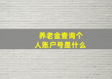 养老金查询个人账户号是什么