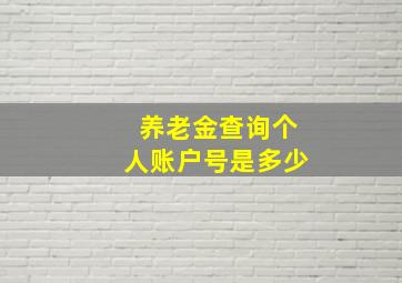 养老金查询个人账户号是多少