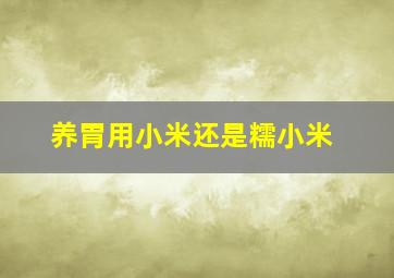 养胃用小米还是糯小米