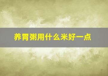 养胃粥用什么米好一点