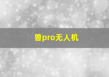 兽pro无人机