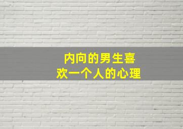 内向的男生喜欢一个人的心理