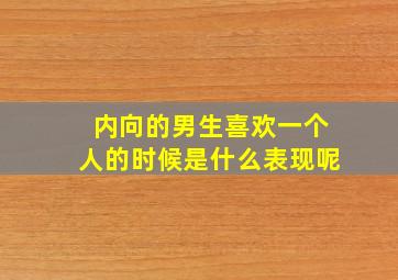 内向的男生喜欢一个人的时候是什么表现呢