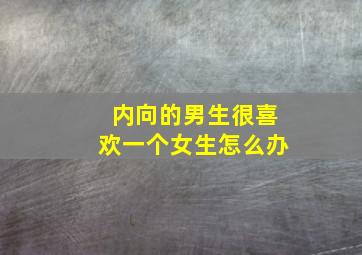 内向的男生很喜欢一个女生怎么办