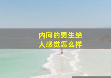 内向的男生给人感觉怎么样