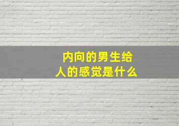 内向的男生给人的感觉是什么