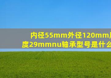 内径55mm外径120mm厚度29mmnu轴承型号是什么