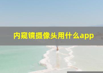 内窥镜摄像头用什么app