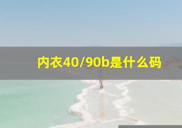 内衣40/90b是什么码