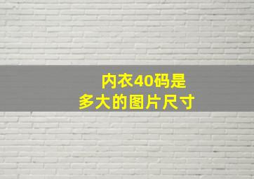 内衣40码是多大的图片尺寸