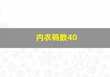 内衣码数40