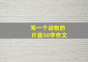 写一个动物的片段50字作文