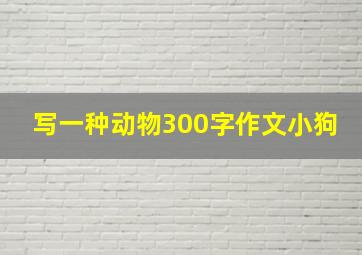 写一种动物300字作文小狗