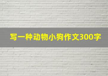 写一种动物小狗作文300字